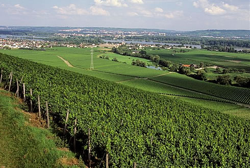 Blick auf Johannisberg
