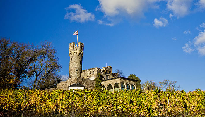 Burg Schwarzenstein